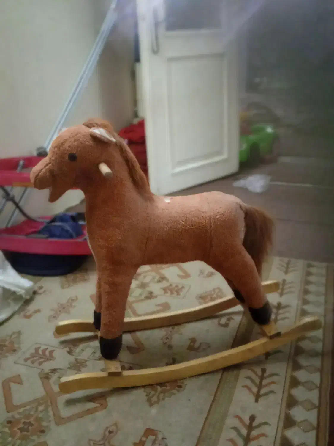 اسب|اسب و تجهیزات اسبسواری|مشهد, کوی سیدی|دیوار