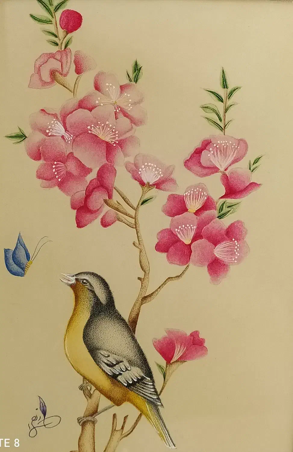 آموزش تخصصی نقاشی|خدمات آموزشی|شیراز, تاچارا|دیوار