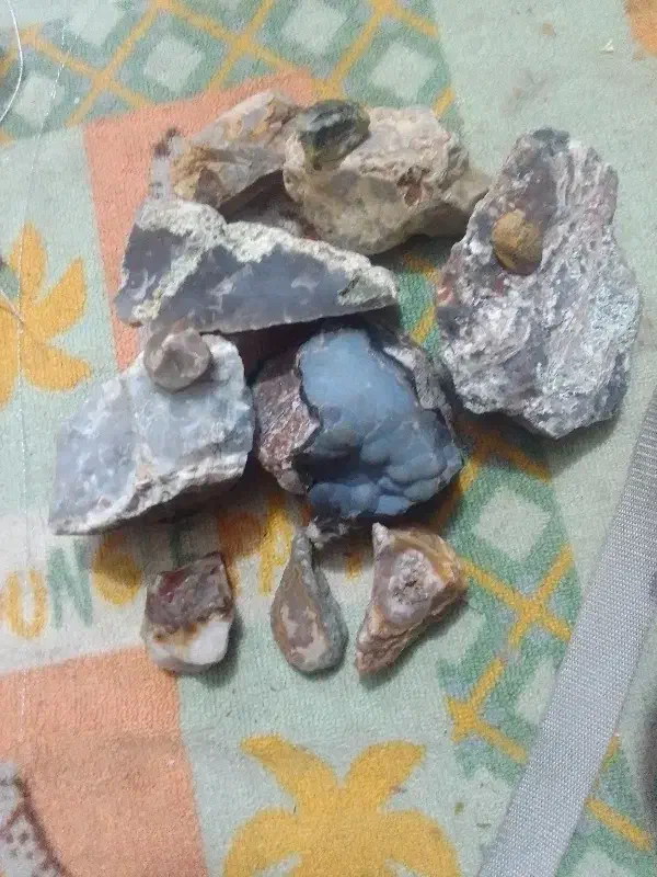 سنگ راف|کلکسیون اشیاء عتیقه|نوشهر, |دیوار