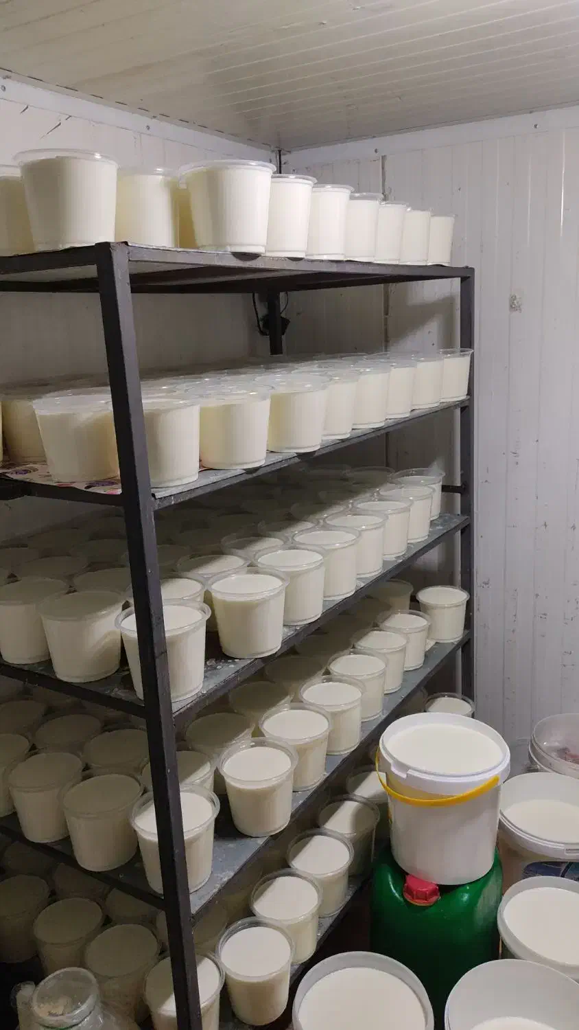 تولید و توزیع لبنیات محلی|خوردنی و آشامیدنی|کرمان, |دیوار