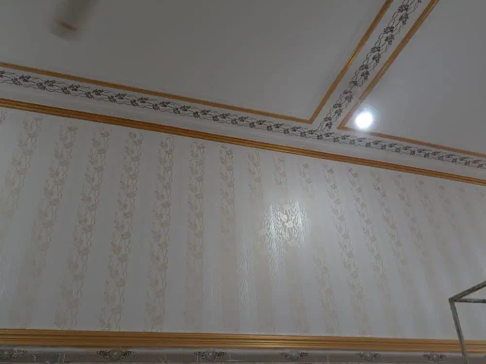 رنگ آمیزی ساختمان با بهترین کیفیت|خدمات پیشه و مهارت|شوشتر, |دیوار