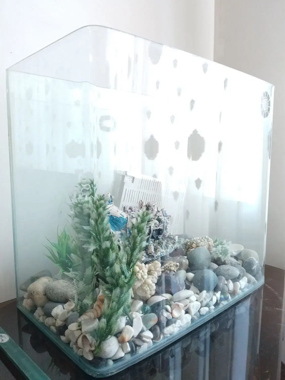 آکواریوم شیشه خم شرکتی با وسایل|ماهی|همدان, |دیوار