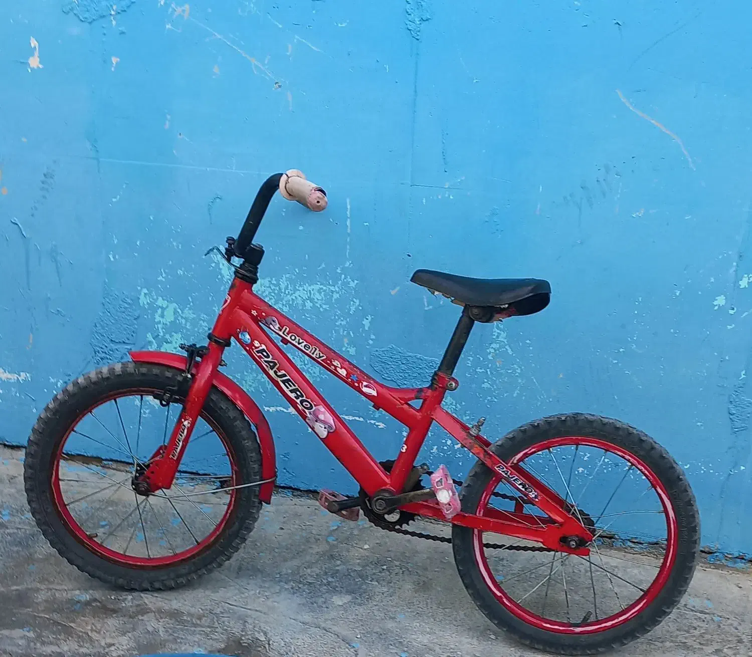 دوچرخه|دوچرخه، اسکیت، اسکوتر|دوگنبدان, |دیوار