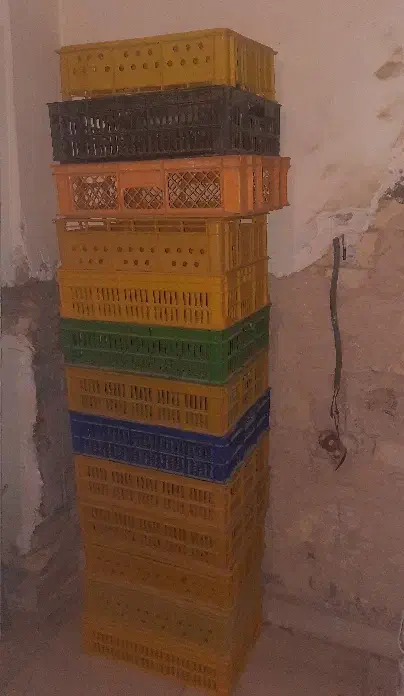 سبد|ظروف نگهدارنده، پلاستیکی، یک‌بارمصرف|کرمانشاه, |دیوار