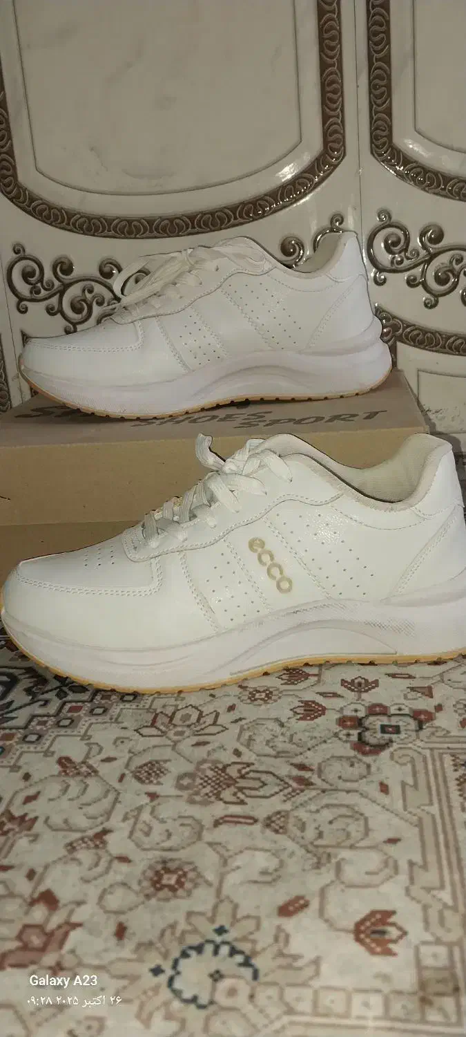 کفش اسپورت|کیف، کفش، کمربند|باوی, |دیوار