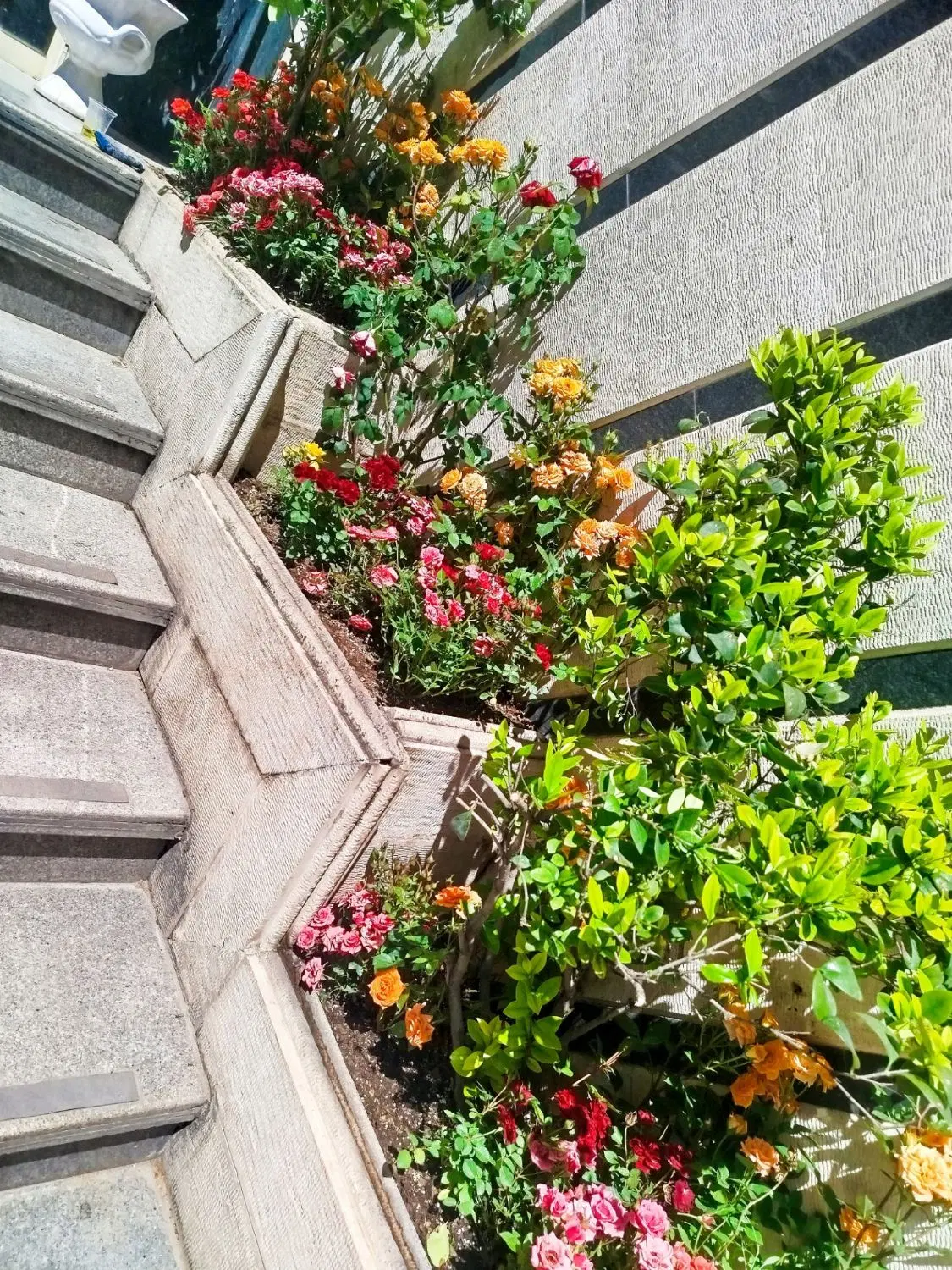 خدمات باغبانی وابیاری قطری سمپاشی گل های اپارتمانی|خدمات باغبانی و درختکاری|تهران, شهرک غرب|دیوار