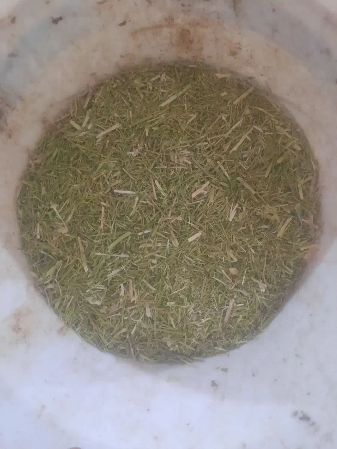 خار شتر فروشی|لوازم جانبی حیوانات|تربتحیدریه, پائین ولایت|دیوار