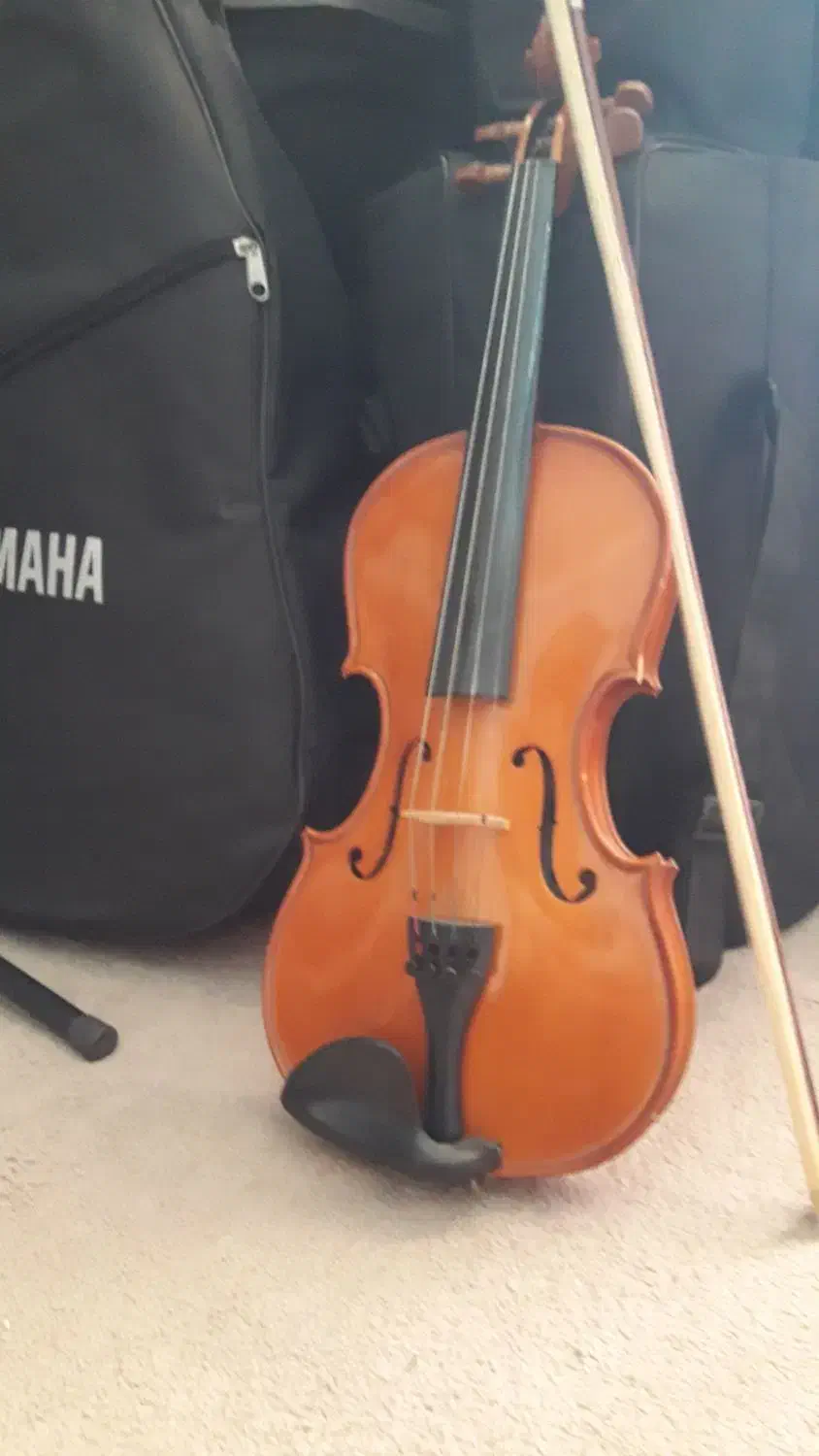 ویالون استیودنت|ویولن|ری, شهید غیوری (ابن باویه)|دیوار