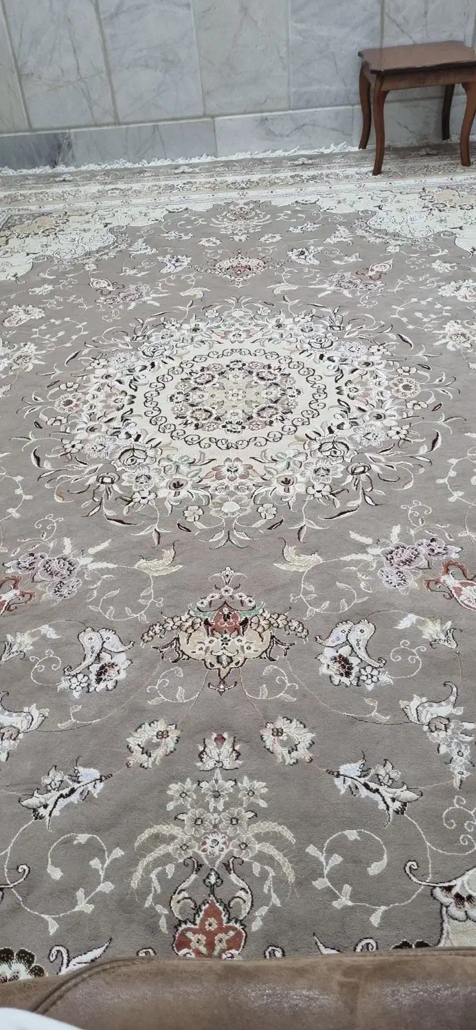 فرش ۱۲ متری گردویی|فرش|مشهد, انقلاب|دیوار