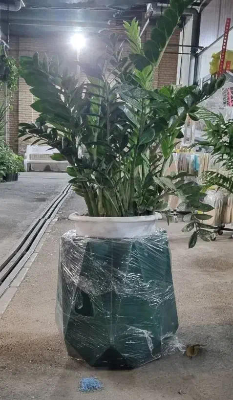 آپارتمانی لوکس بزرگ و کوچیک ۳۰٪تخفیف|گل و گیاه طبیعی|تهران, زیبادشت|دیوار