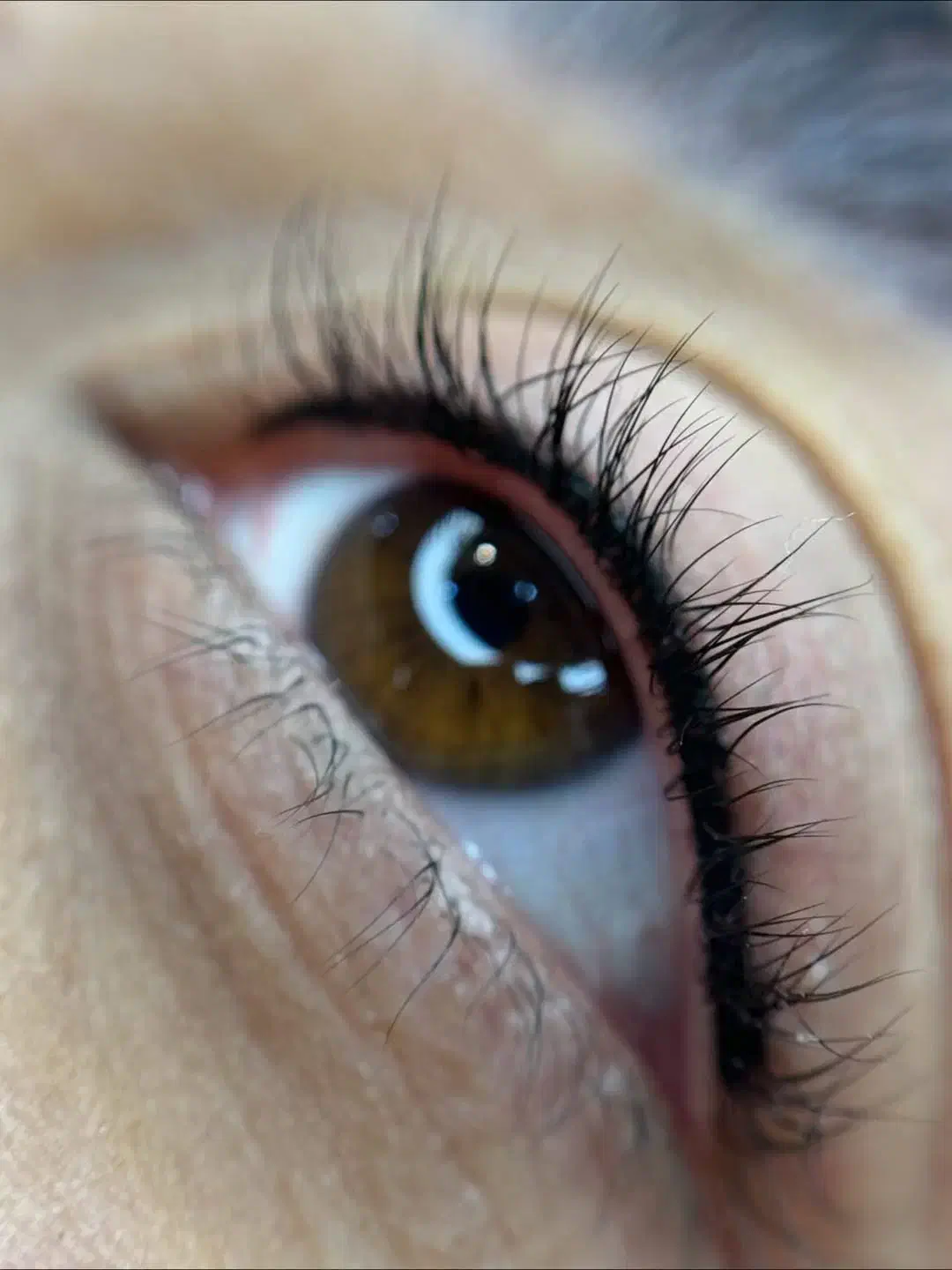 فیبروز،میکرو،شیدینگ،ی تخفیف ۵۰درصدی|خدمات آرایشگری و زیبایی|کاشان, امیرکبیر|دیوار