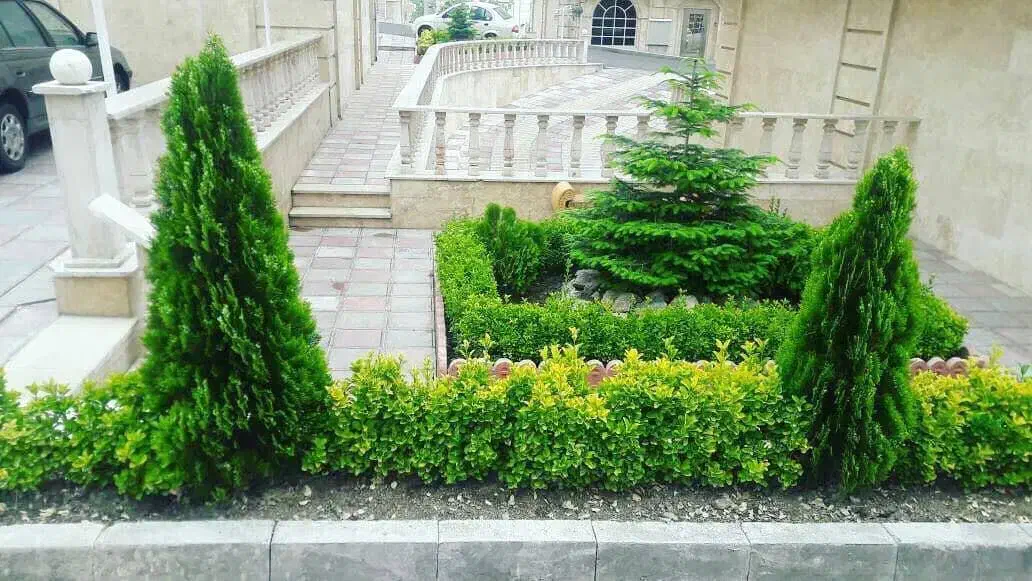 شرکت مهندسی فضای سبز لتکا|خدمات باغبانی و درختکاری|تهران, شهرک آزادی|دیوار