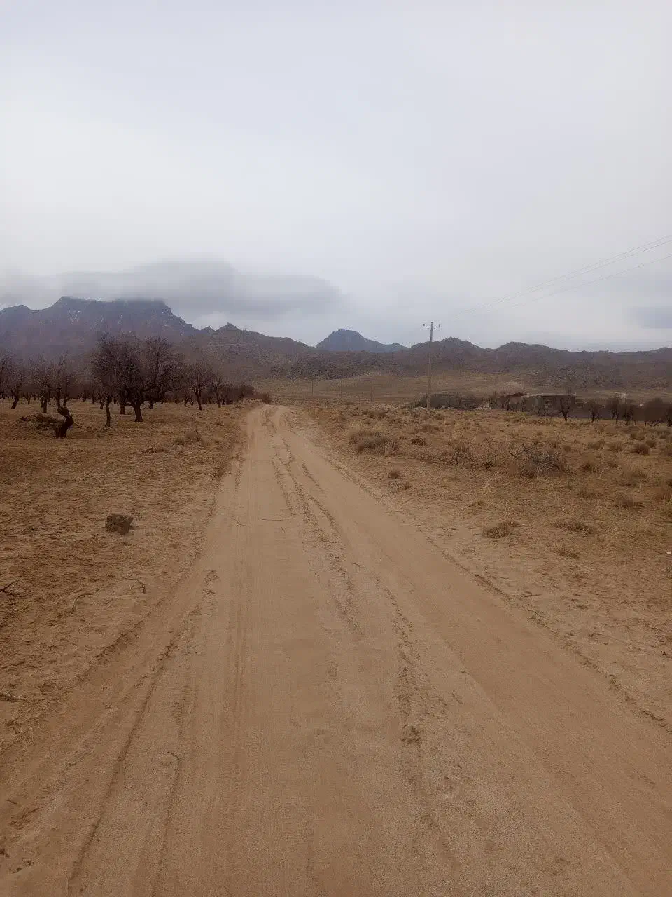 زمین|فروش زمین و ملک کلنگی|مهریز, |دیوار