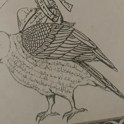 راهنمایی سرکتاب طالع بینی|فعالیت داوطلبانه|کرمانشاه, |دیوار