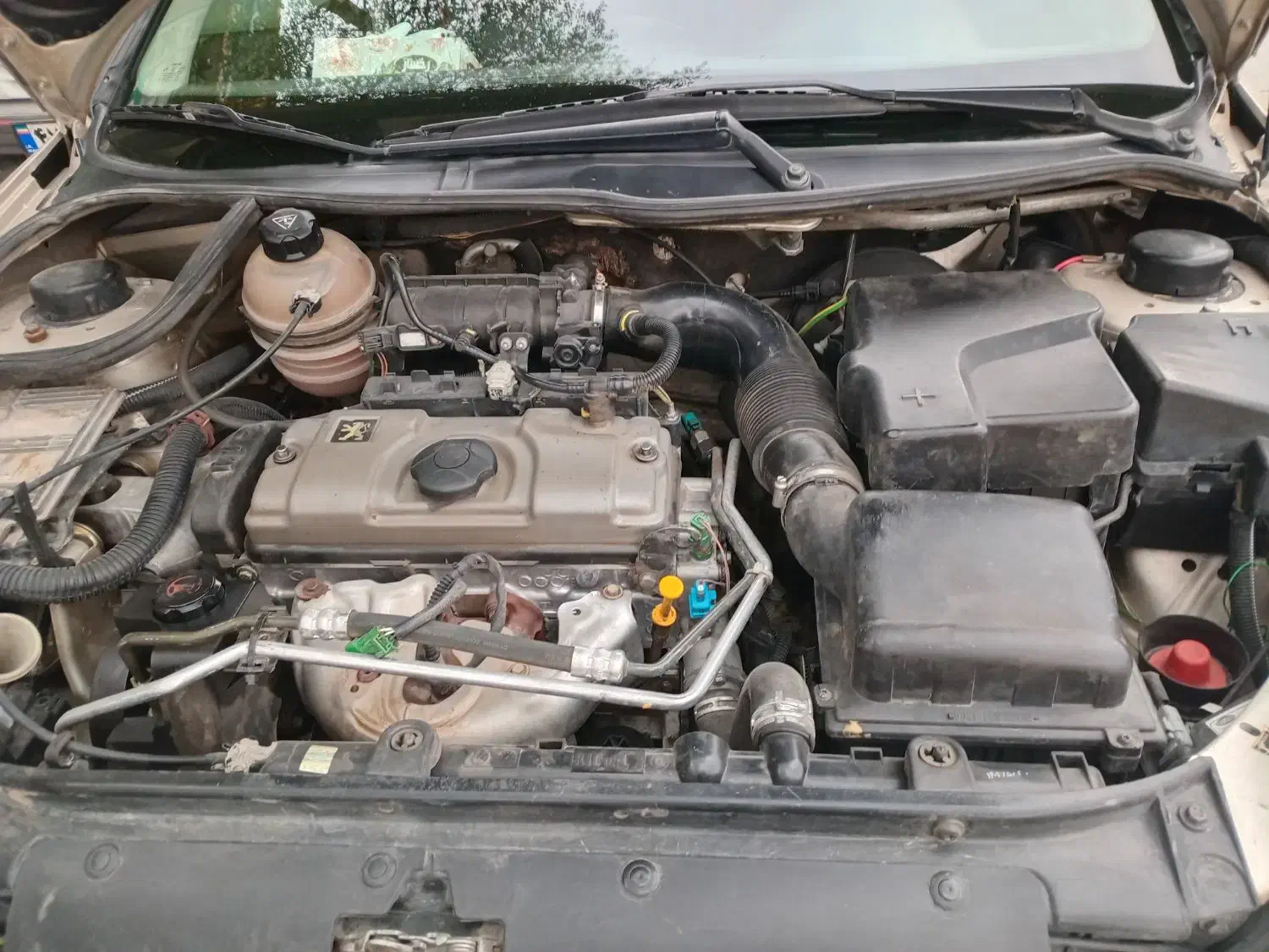 پژو ۲۰۶ بژ|خودرو سواری و وانت|بروجرد, |دیوار