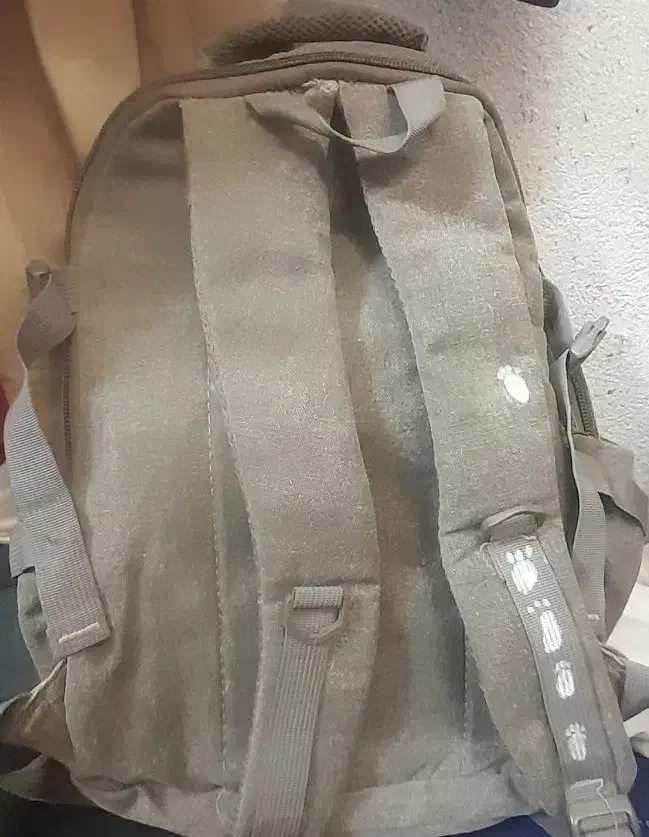 کوله پشتی اسپرت|کیف، کفش، کمربند|تهران, حشمتیه|دیوار