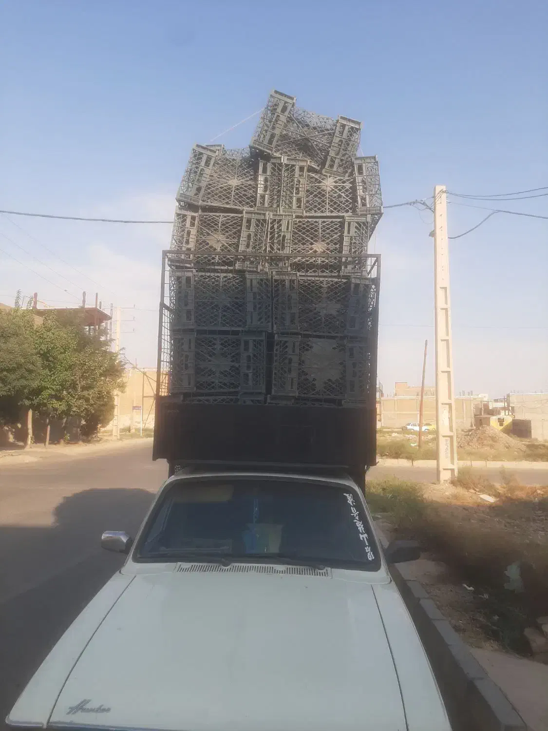 سبدمیوه. کارتن|عمدهفروشی|کرج, خرمدشت|دیوار