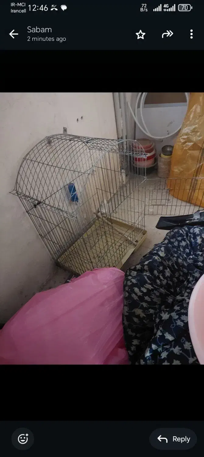 قفس طوطی|لوازم جانبی حیوانات|کرج, منطقه ویژه اقتصادی پیام|دیوار