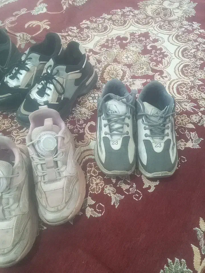 کفش زن وپسر|کیف، کفش، کمربند|کبودرآهنگ, |دیوار