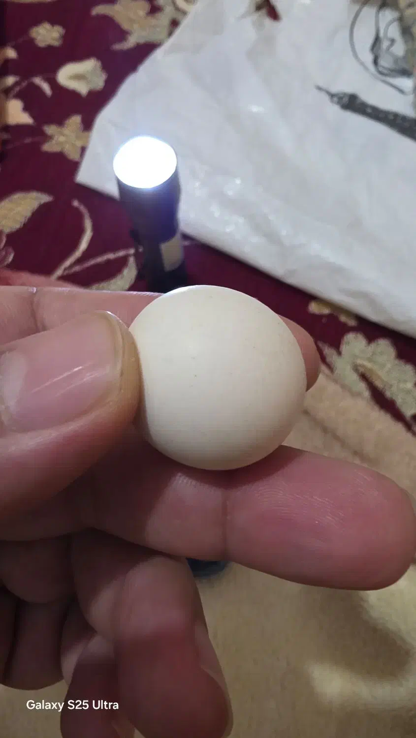 سنگ های قیمتی|جواهرات|ایرانشهر, |دیوار