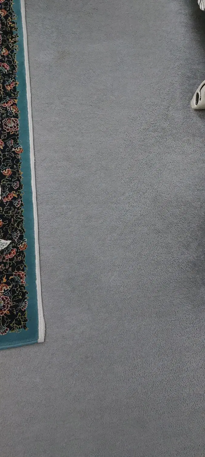 پالازموکت|موکت|تبریز, |دیوار