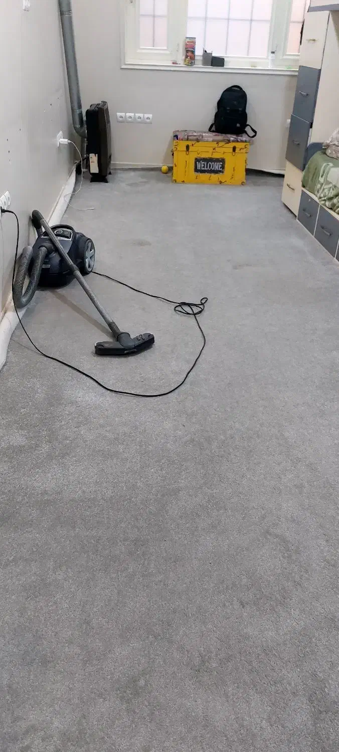 پالاز موکت و فرش محتشم نونو|فرش|قم, نیروگاه|دیوار