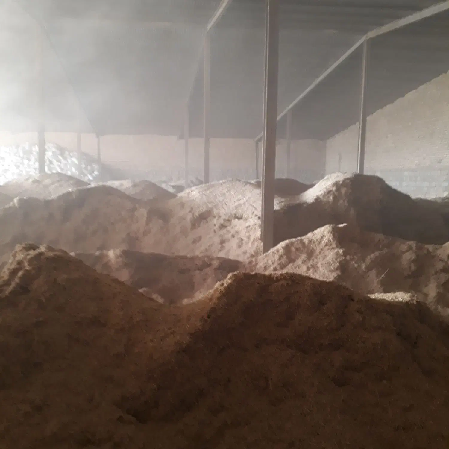 خریدار کاه گندم.کاه نخود.کاه عدس.کاه لوبیا|خدمات باغبانی و درختکاری|سنقر, |دیوار