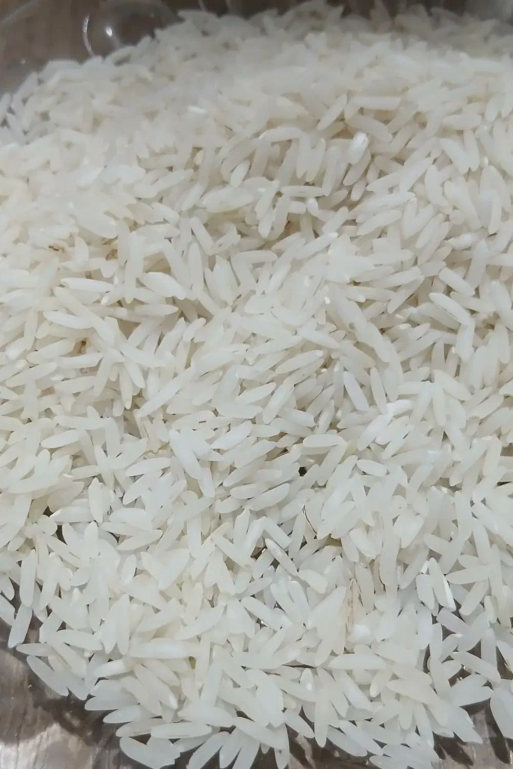 برنج هاشمی|خوردنی و آشامیدنی|رشت, کاکتوس|دیوار