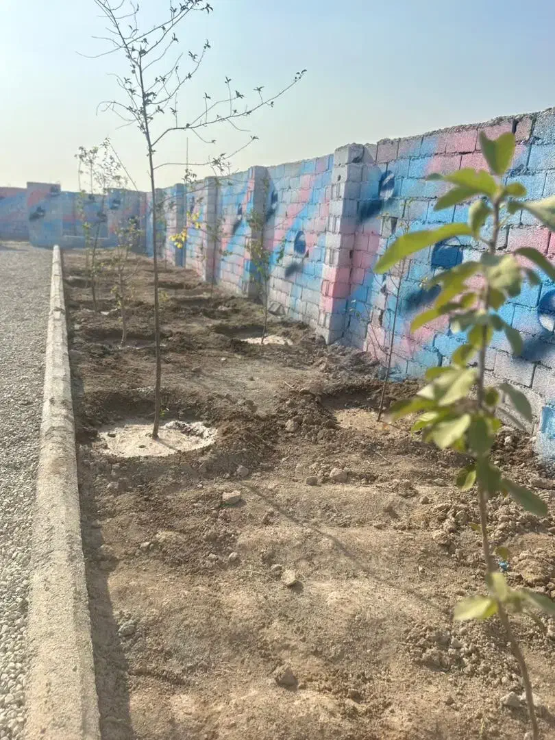 باغچه ۲۱۹ متری نقلی/ با شرایط اقساط|فروش زمین و ملک کلنگی|اندیشه, شهرک المهدی|دیوار