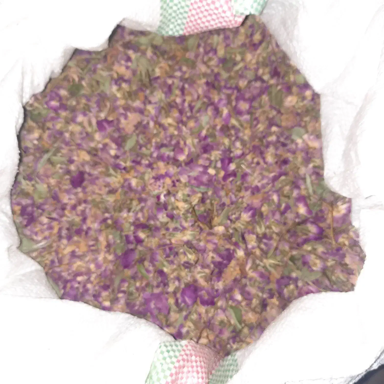 گل محمدی خوش عطر و ارگانیک|گل و گیاه طبیعی|قم, انسجام|دیوار