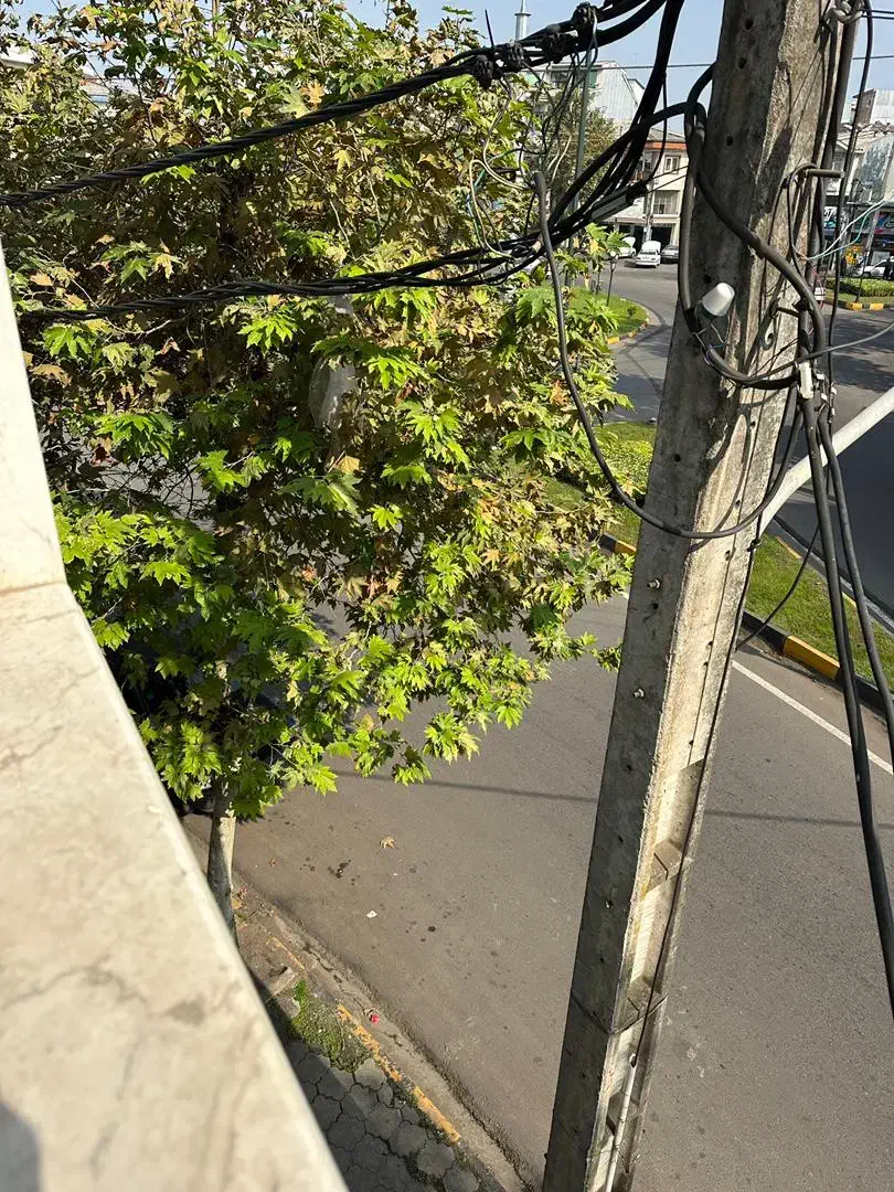 رهن و اجاره واحد اپارتمان نوساز فول|اجارهٔ آپارتمان|لاهیجان, کوی آزادگان|دیوار