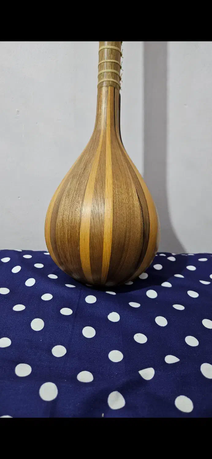 سه تار نو|سازهای سنتی|مشهد, دانشجو|دیوار