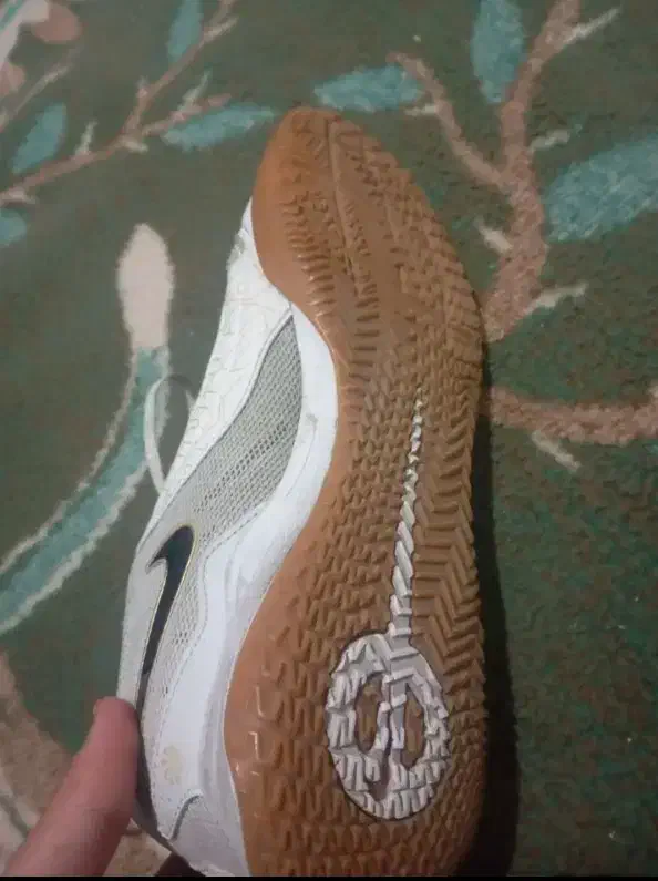 کفش فوتسال|کیف، کفش، کمربند|شیراز, سیاه سنگ|دیوار