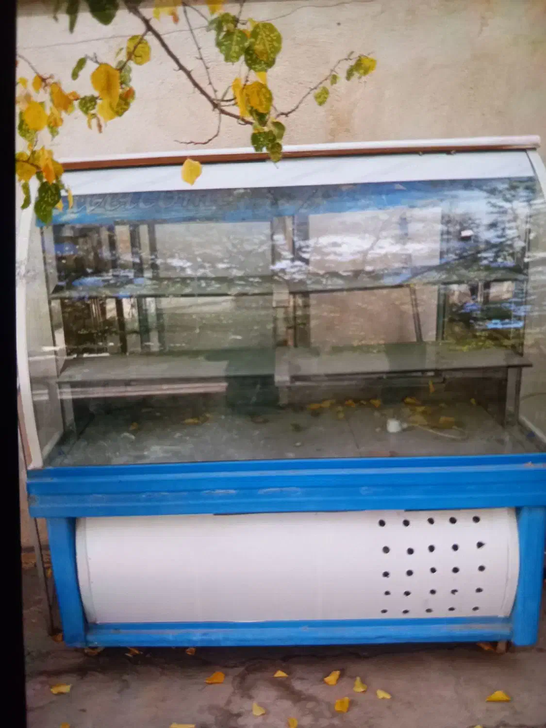 یخچال ویترینی|فروشگاه و مغازه|بیجار, |دیوار