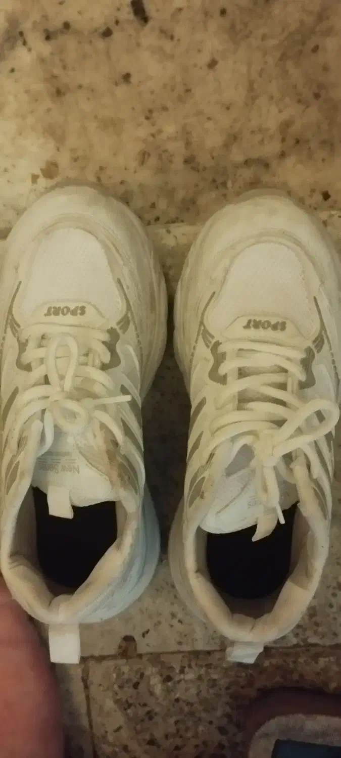 کفش اسپرت نو قیمت مناسب سایز37|کیف، کفش، کمربند|کرمان, |دیوار