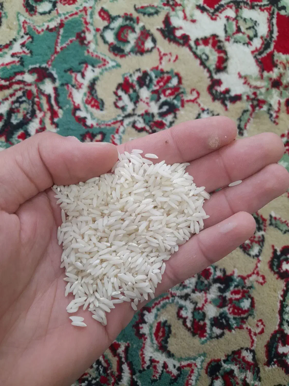 برنج طارم|خوردنی و آشامیدنی|دورود, |دیوار