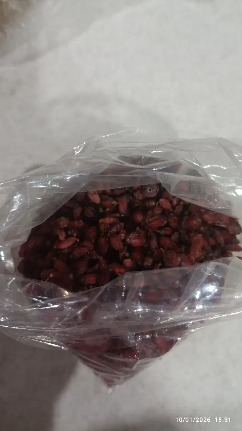 زرشک کوهی|خوردنی و آشامیدنی|تربت‌حیدریه, قائم|دیوار