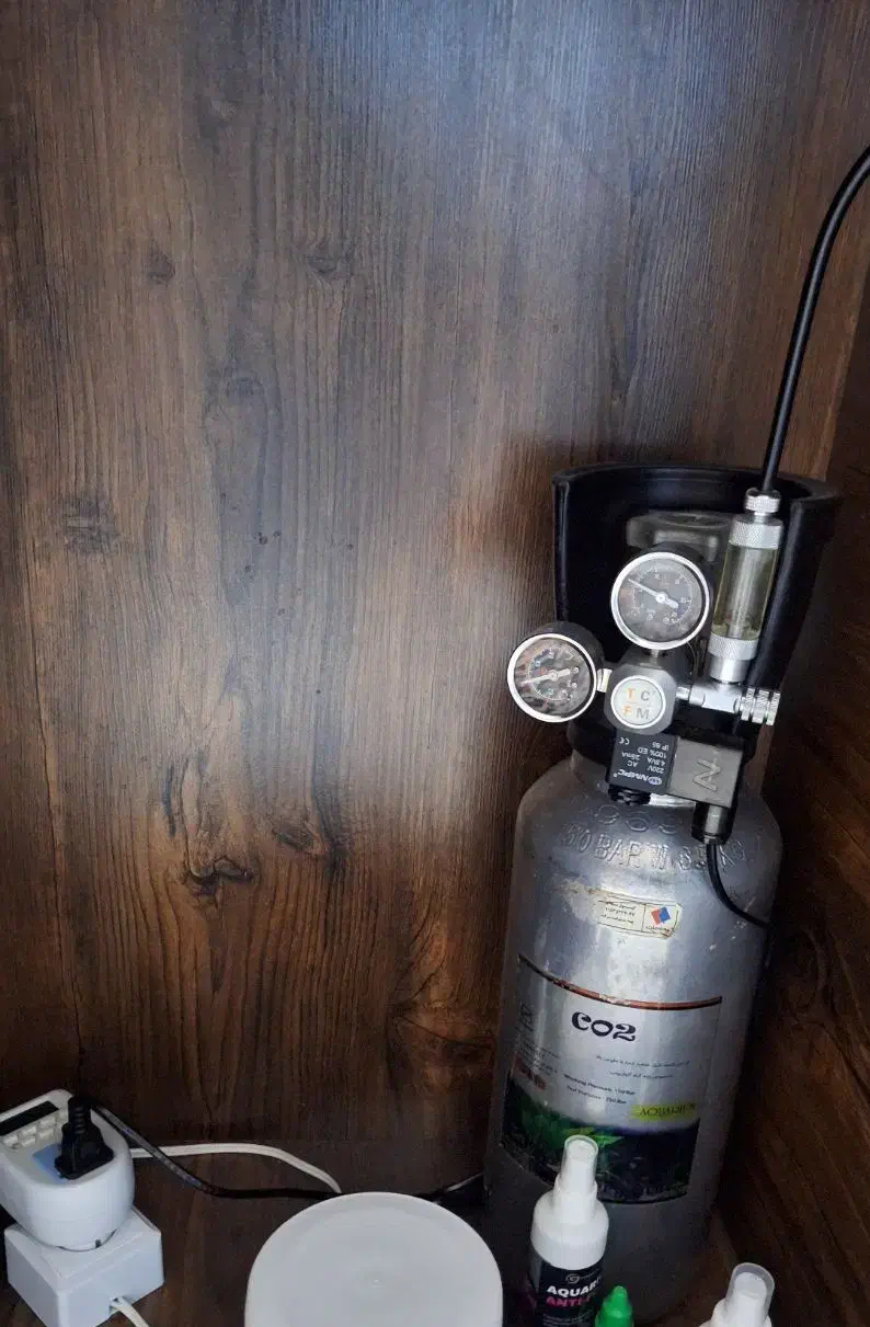 اکواریوم ریملس سوپر کلیر پلنت|ماهی|بروجرد, |دیوار