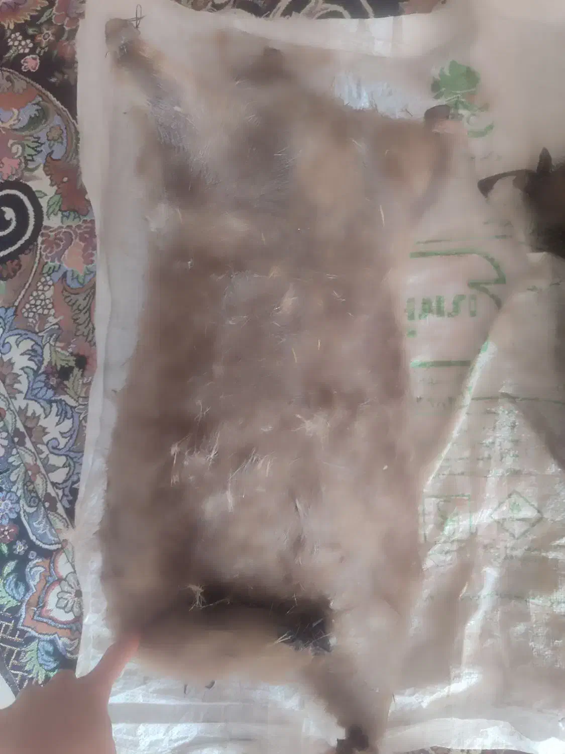 هیزه پنج و هفت کیلویی|ظروف نگهدارنده، پلاستیکی، یک‌بارمصرف|اندیمشک, |دیوار