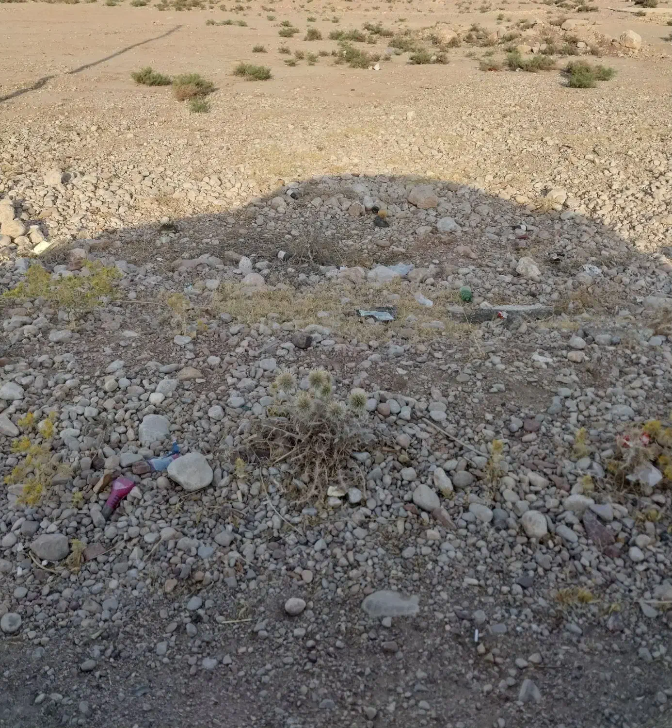 زمین در.یمی|فروش زمین و ملک کلنگی|داراب, |دیوار