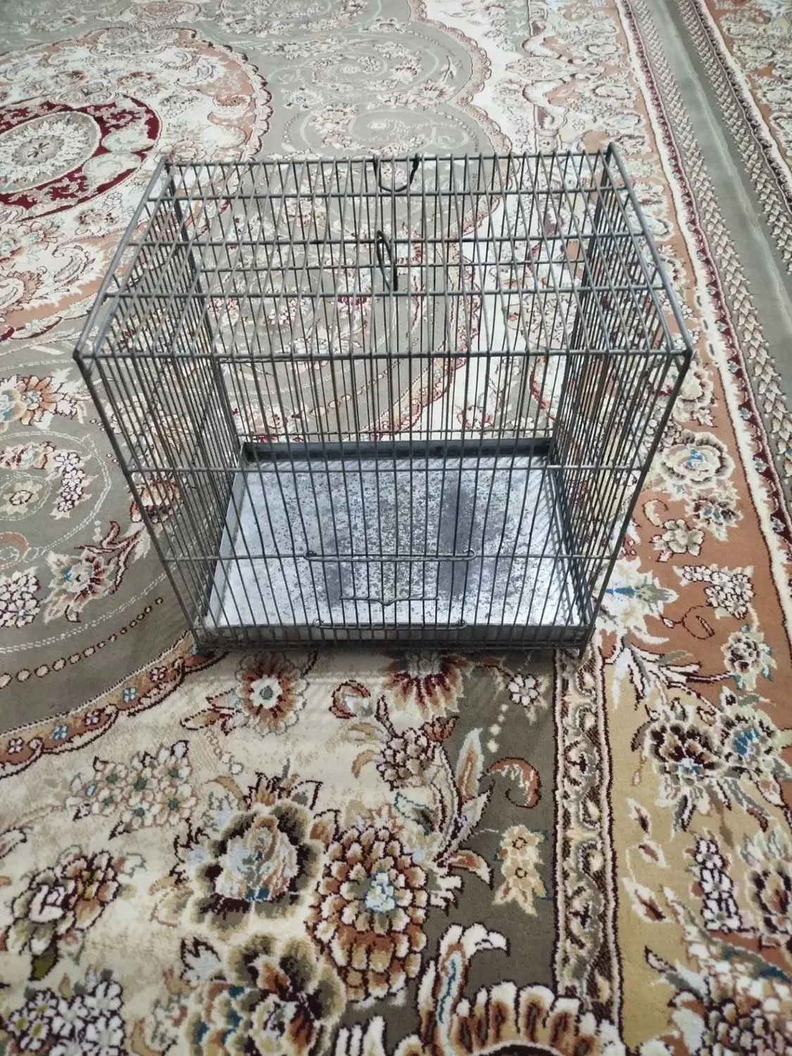 قفس غلامی سالم بدون شکستگی|لوازم جانبی حیوانات|تهران, تهرانسر غربی|دیوار