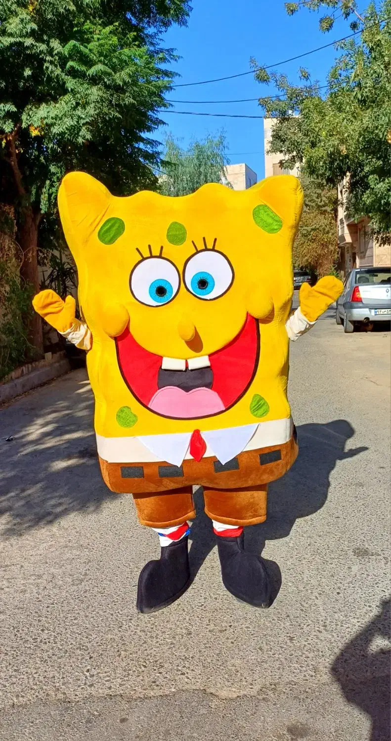 اجاره عروسک تنپوش یا تن پوش|خدمات پذیرایی، مراسم|پیشوا, |دیوار