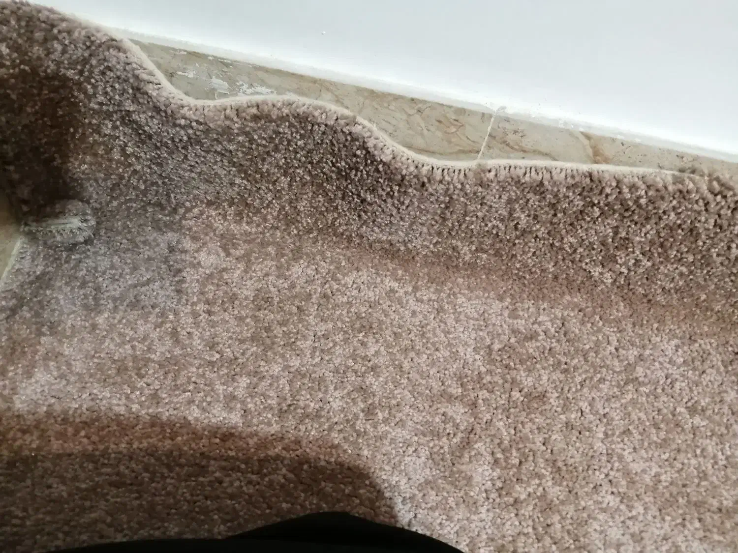 موکت 9متری|موکت|همدان, |دیوار