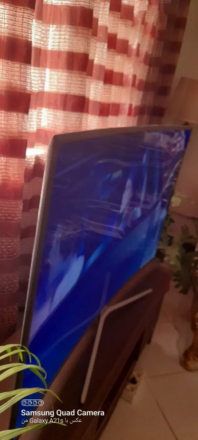 تلویزیون|تلویزیون و پروژکتور|گلبهار, شهر جدید گلبهار|دیوار