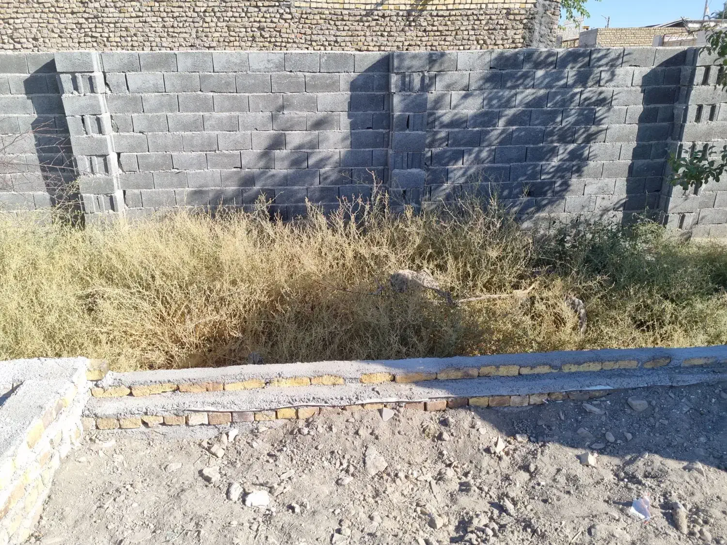 زمین واقع در زیرکن|فروش زمین و ملک کلنگی|مشهد, زیرکن|دیوار