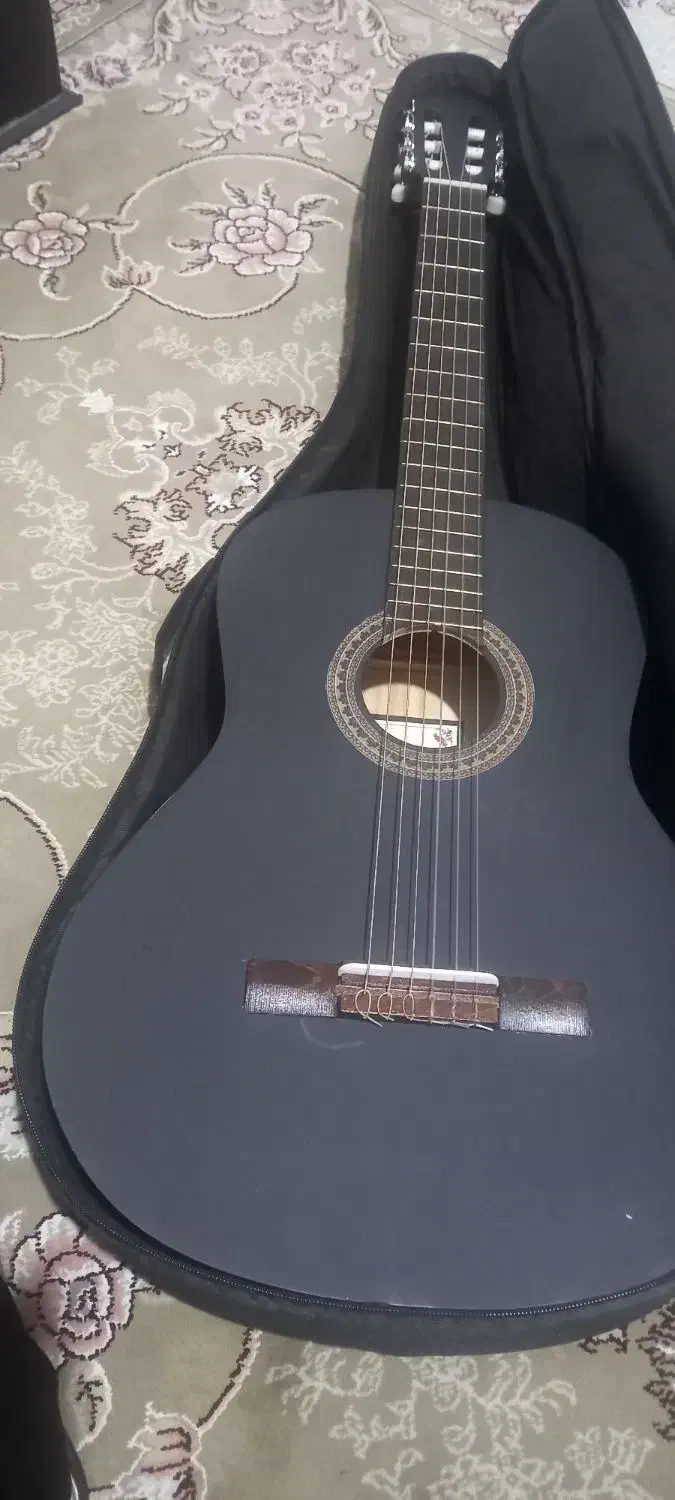 گیتار پرشین|گیتار، بیس، امپلیفایر|تهران, تهرانسر غربی|دیوار