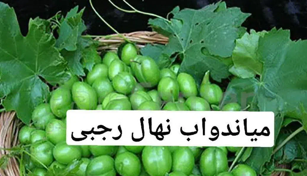 پیشفروش نهال گوجه سبز سردرود|خدمات باغبانی و درختکاری|خاروانا, |دیوار