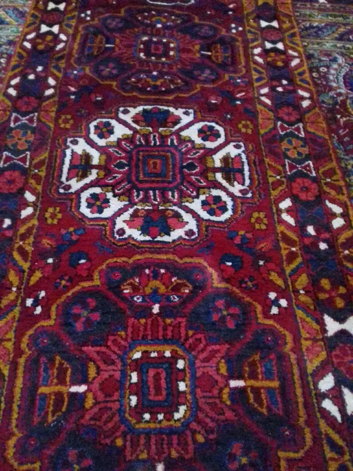 کناره شربیان درحدنو|فرش|مراغه, |دیوار