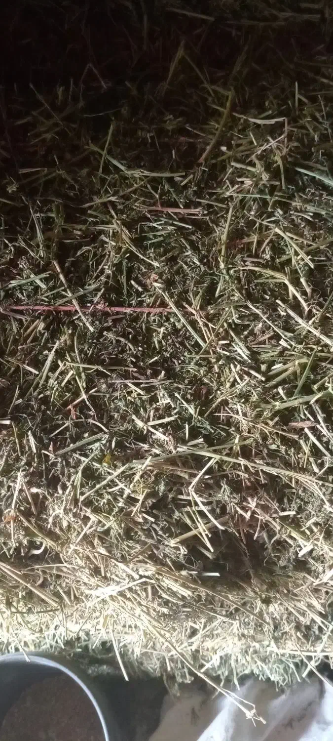 یونجه|لوازم جانبی حیوانات|کشاورز, |دیوار