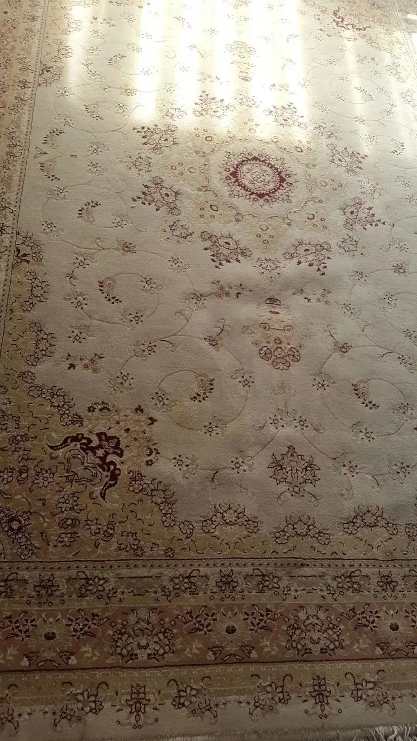 یک عدد فرش ۶ متری|فرش|پردیس, فاز ۳|دیوار